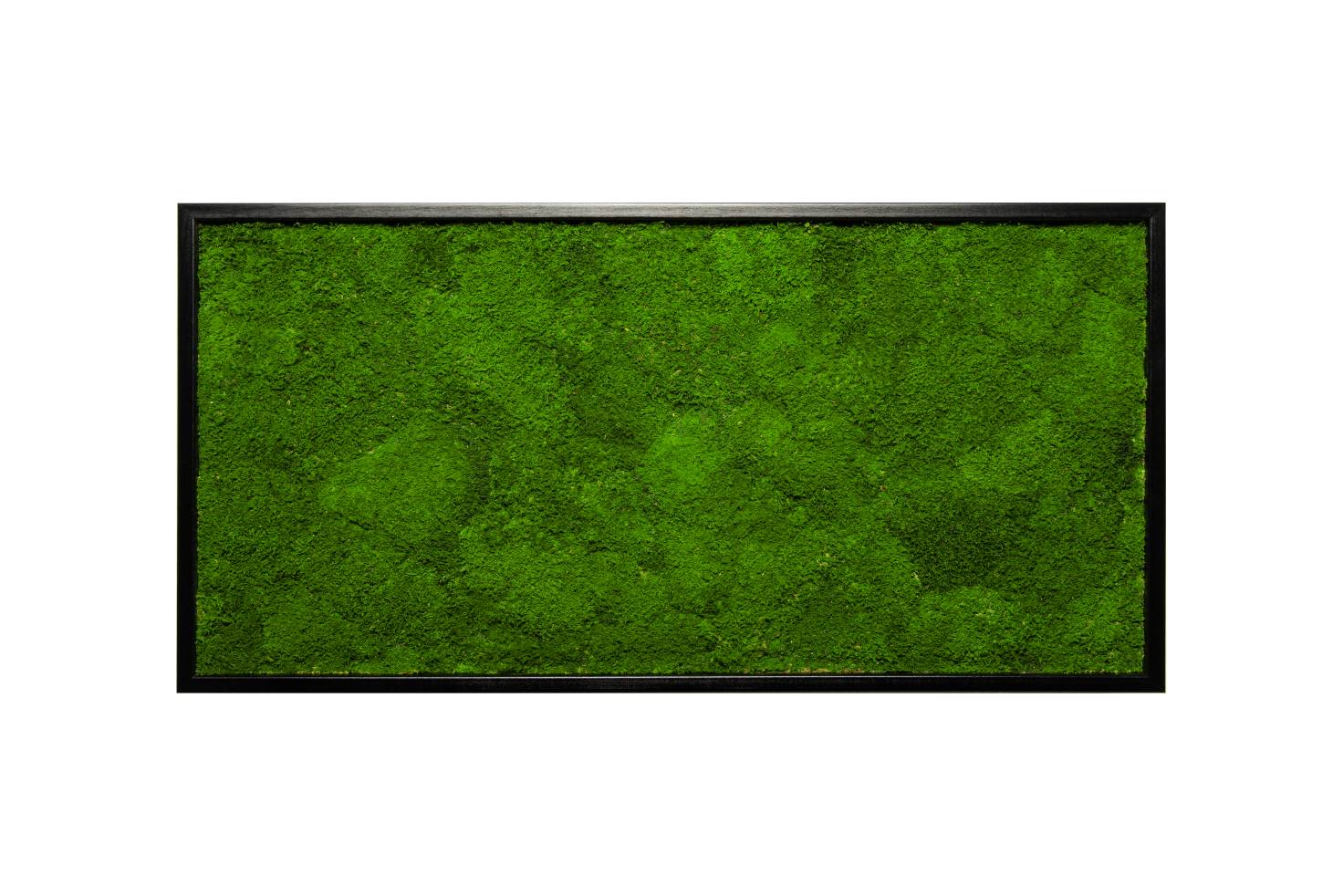 FLA100x35SkJQiWKHCfTjjS (1)