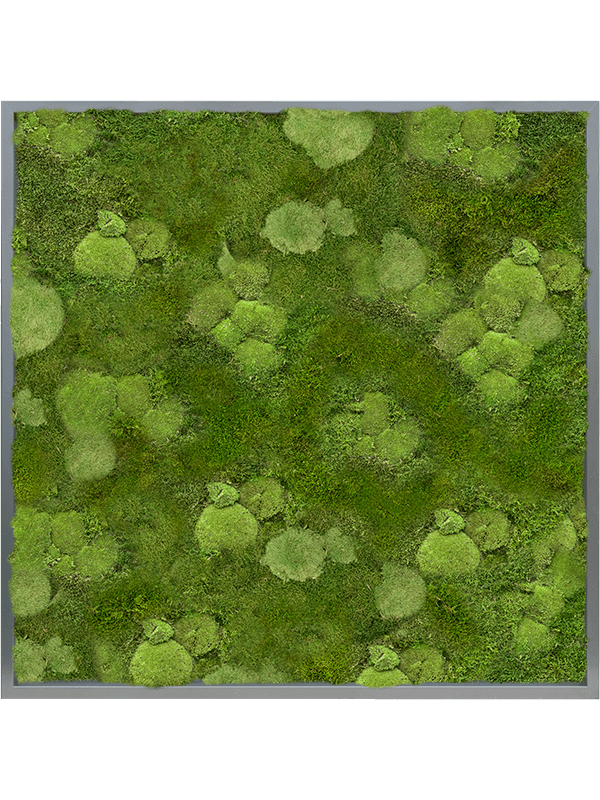 Moss Painting (6)