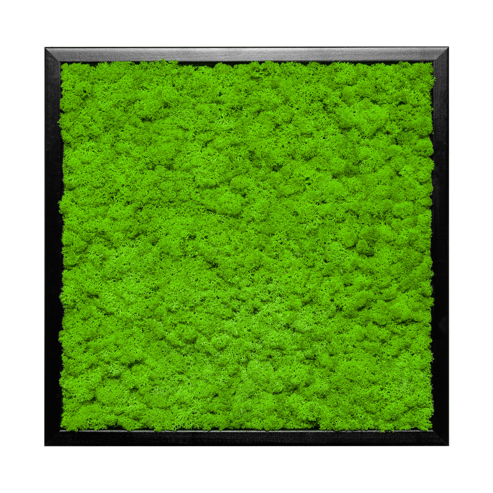 35x35_45x45_55x55_isl_sch_1