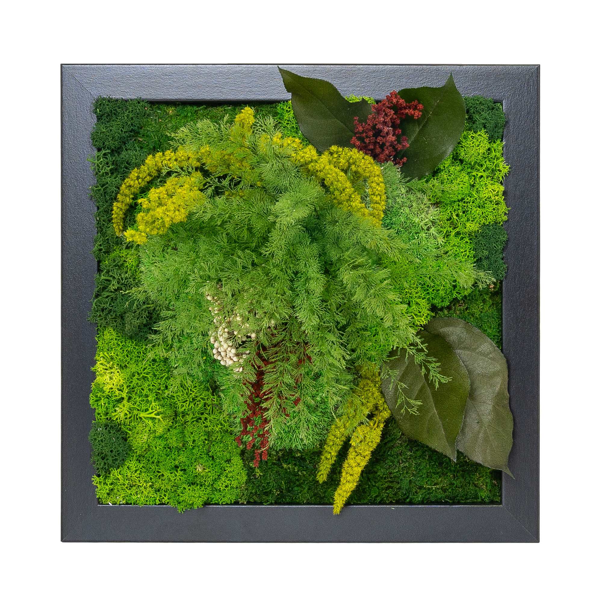 Moosbild Dschungel Design (25x25, schwarz)