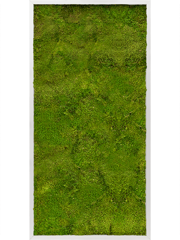 Moss Painting (6)