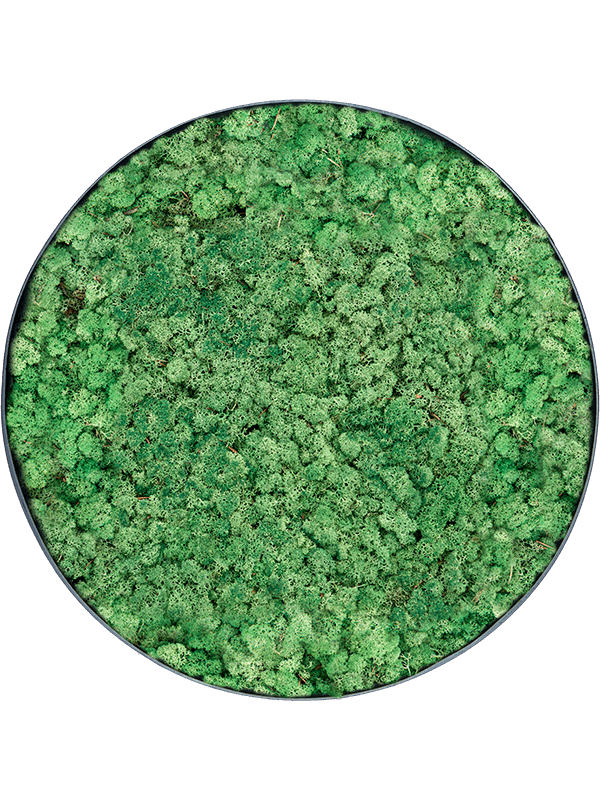 Moss Painting (5)