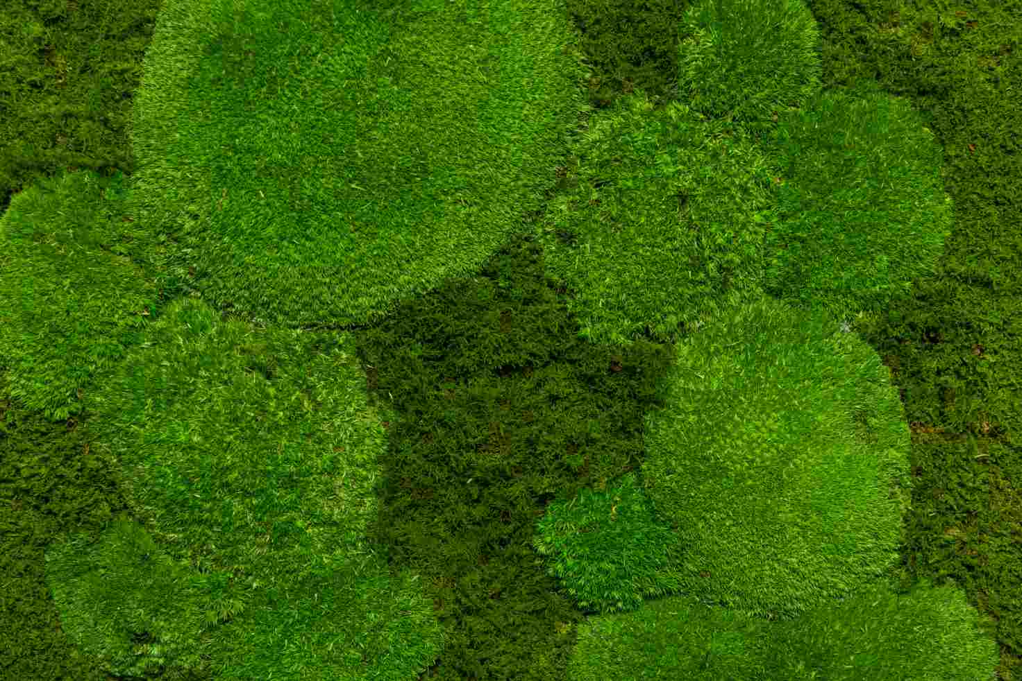 NahaufnahmeGEM1 (12)