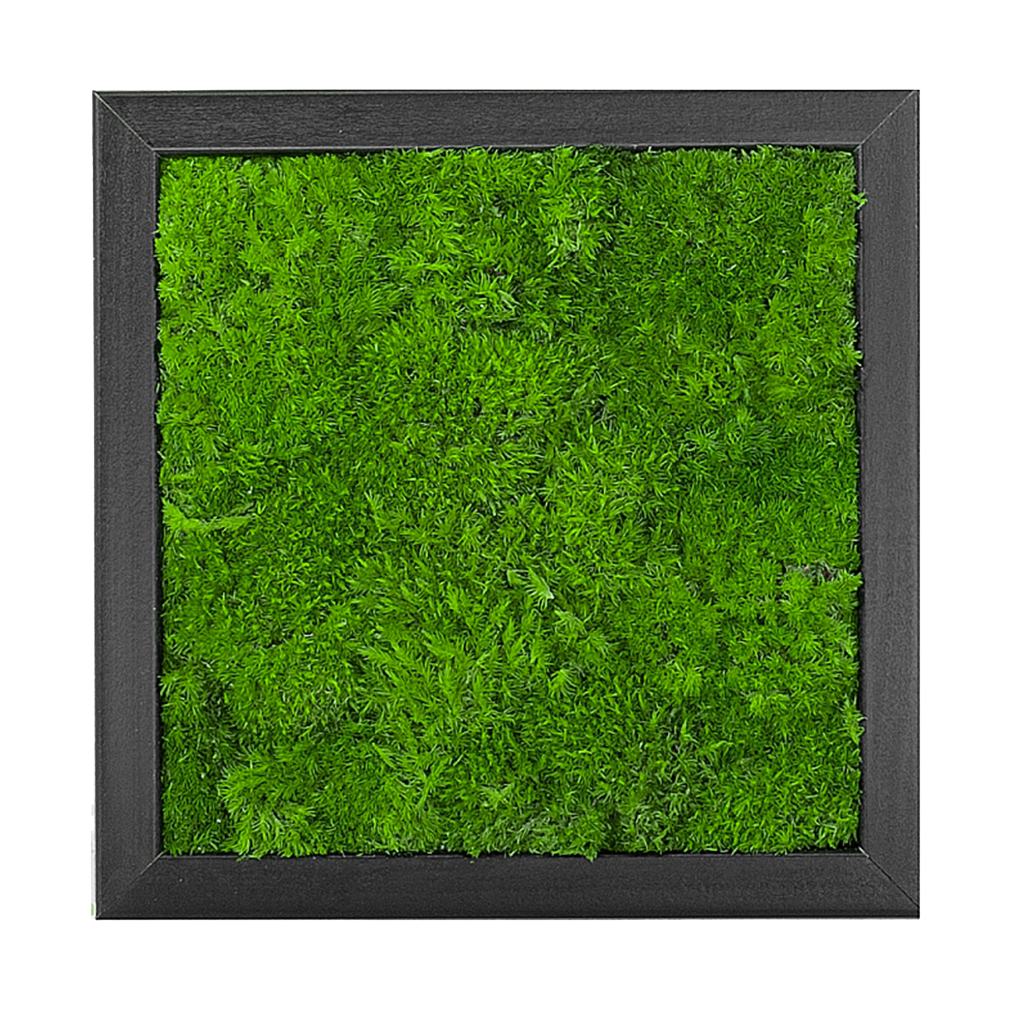Moosbild Wave Design (25x25, schwarz)