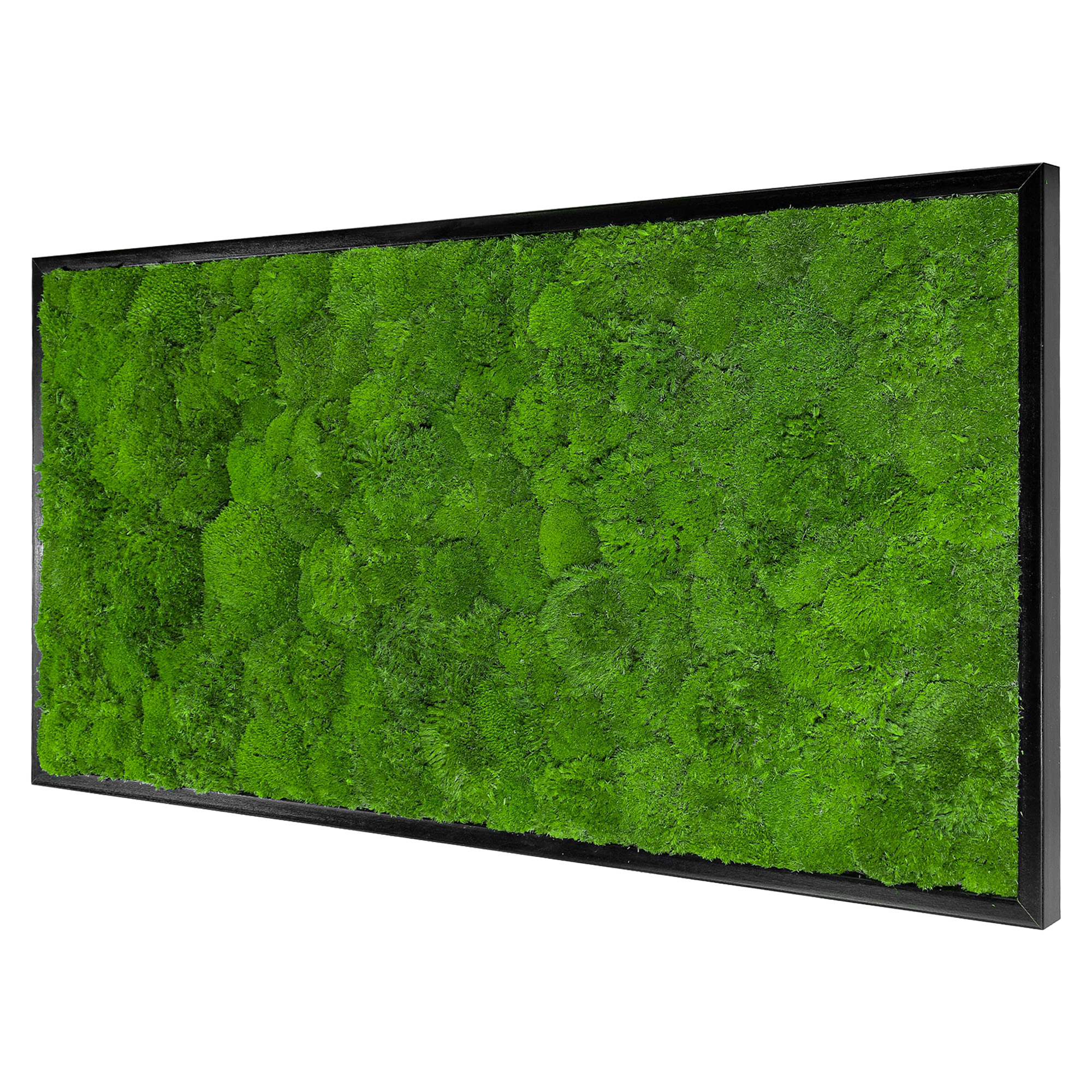 Wave_Design_110x55S_