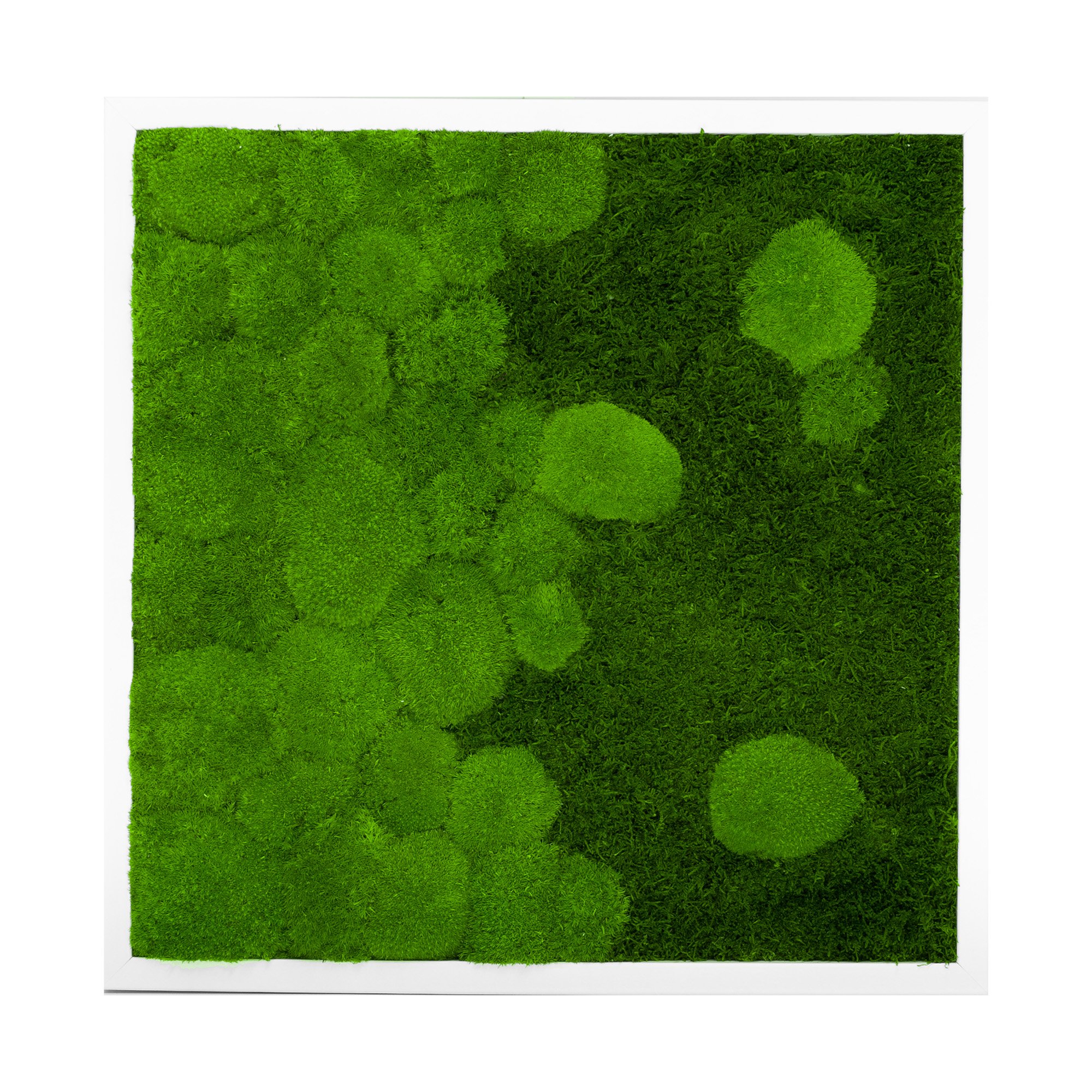 RIV_55x55W_1_