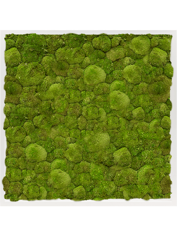 Moss Painting (6)