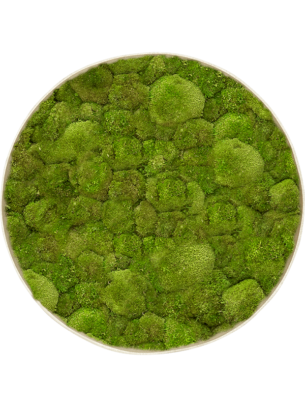 Moss Painting (5)