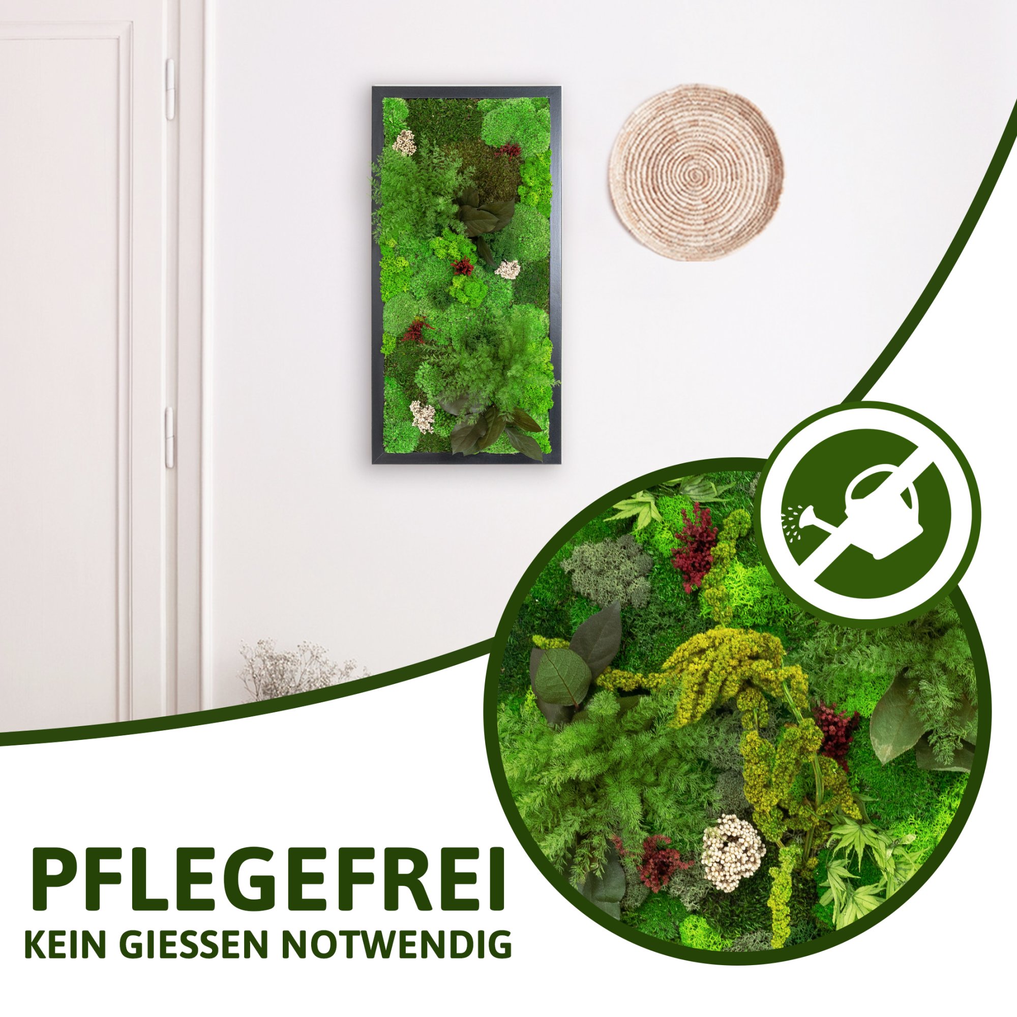 DSC_Pflegefrei