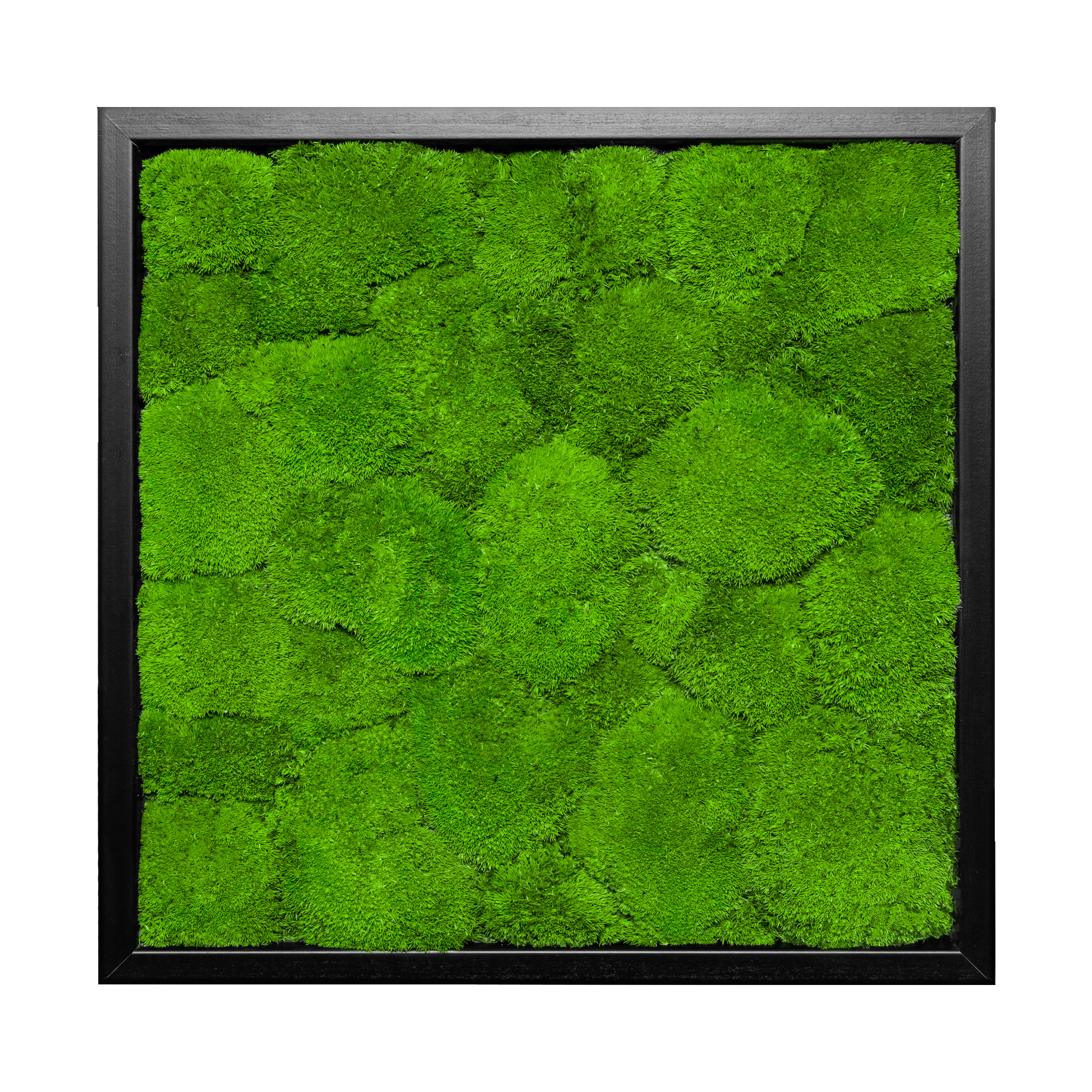 35x35_45x45_55x55_bal_sch_1