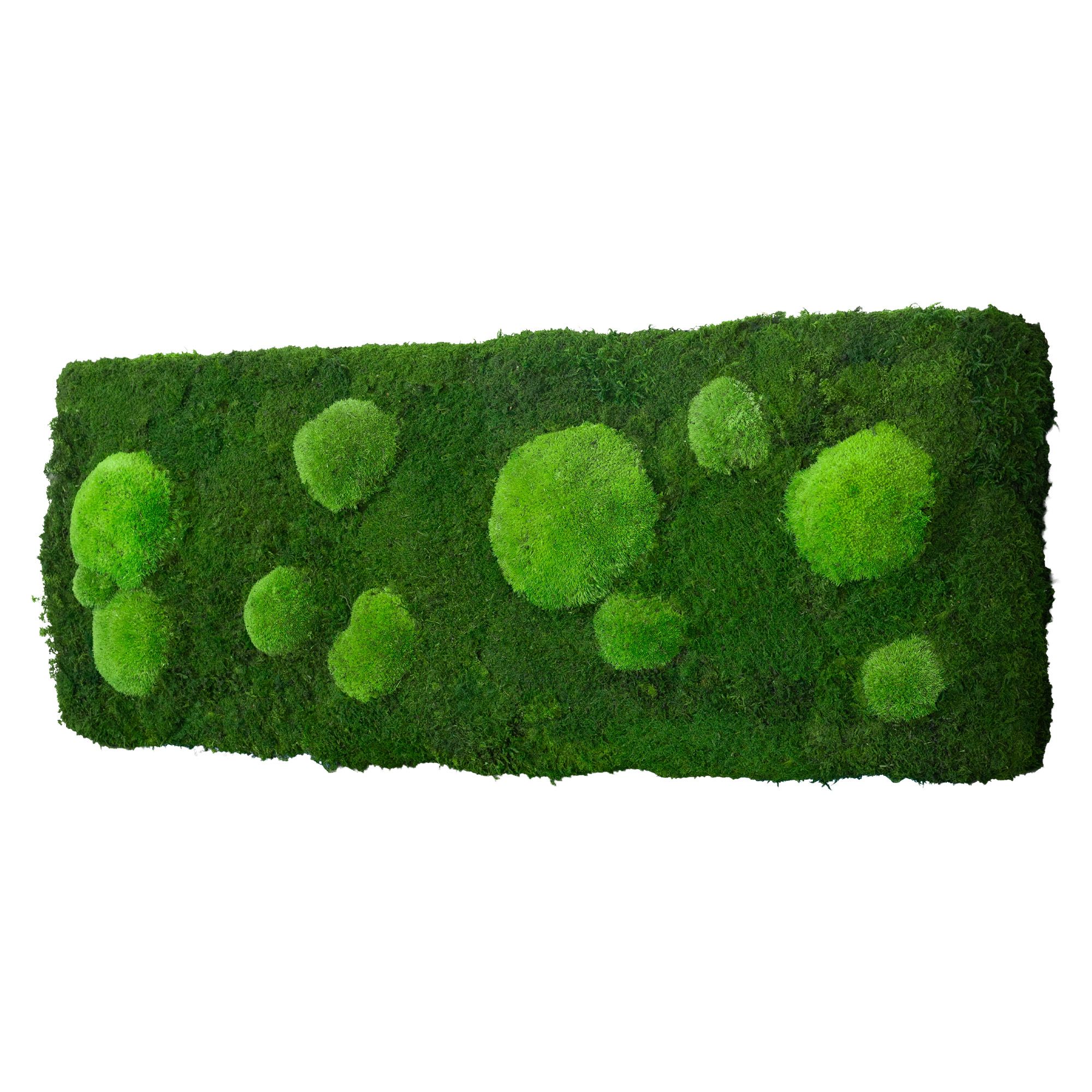 1-100x35-FOR-ORI_1