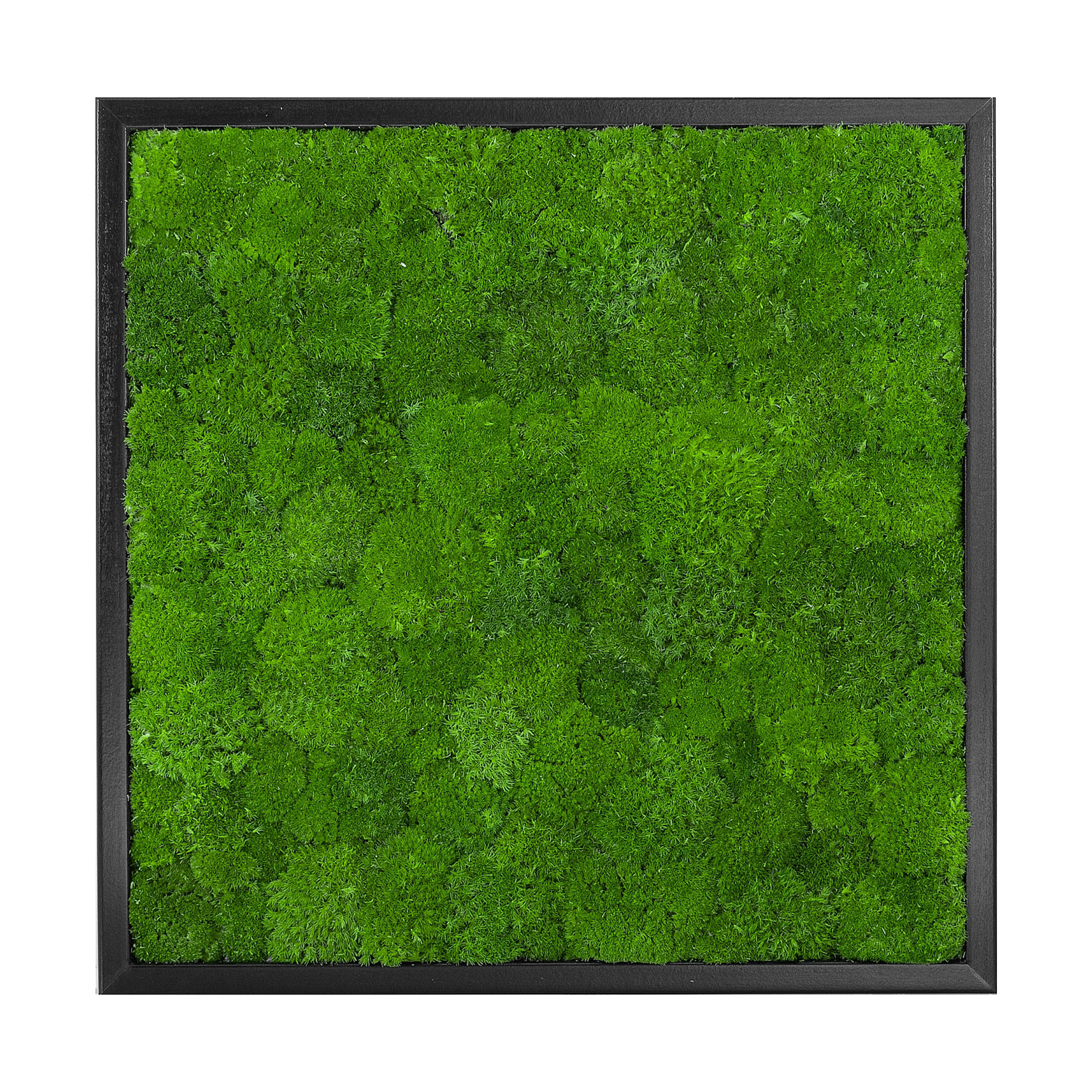 Wave_Design_55x55S_1_
