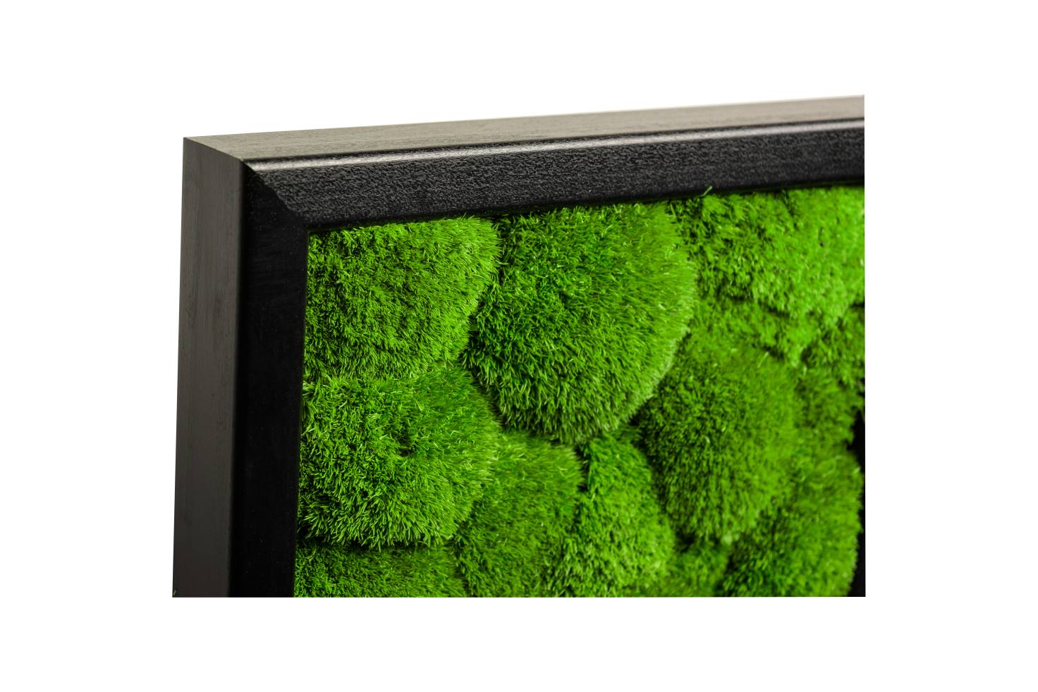Moosbild_Ecke_schwarz