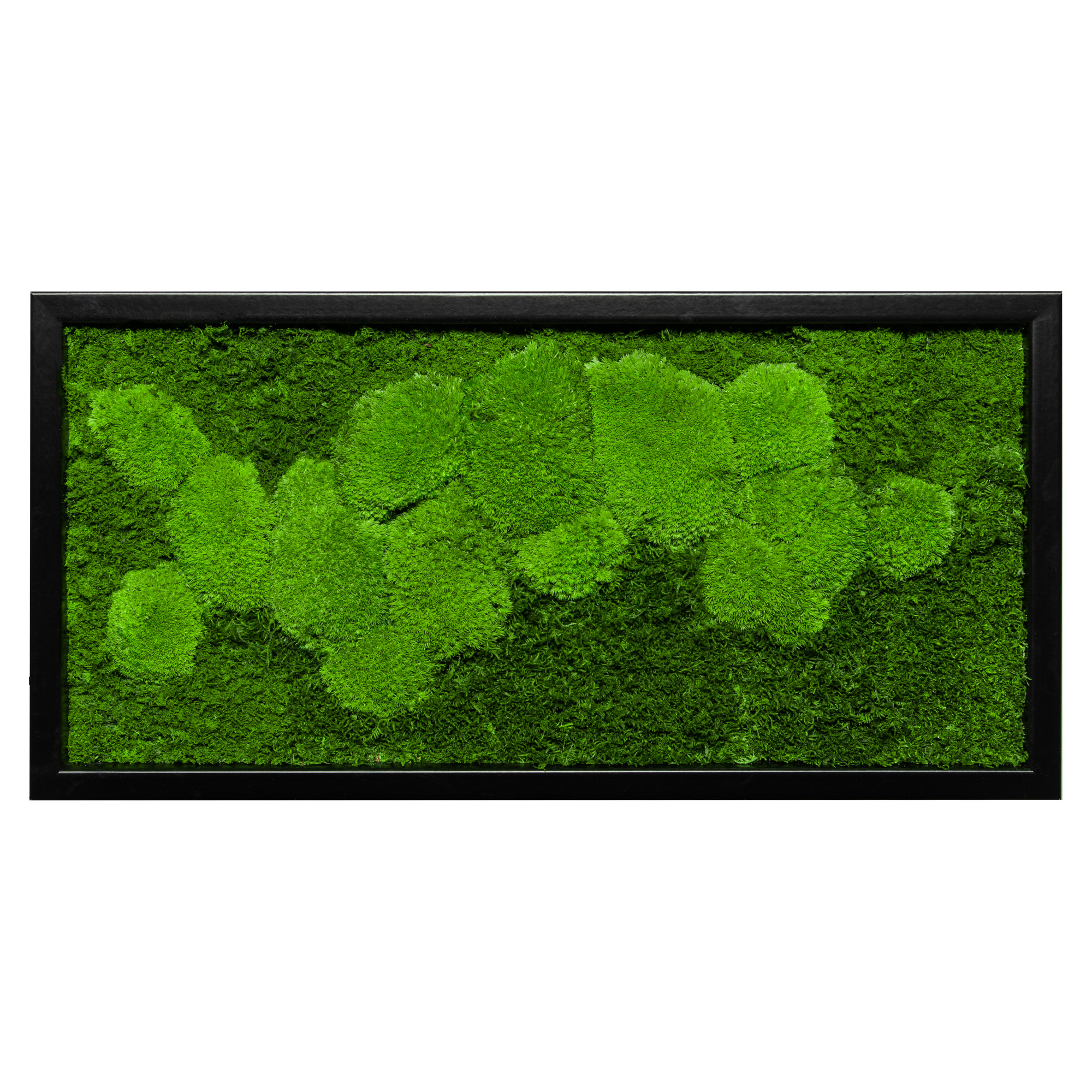 60x30_fif_sch_1