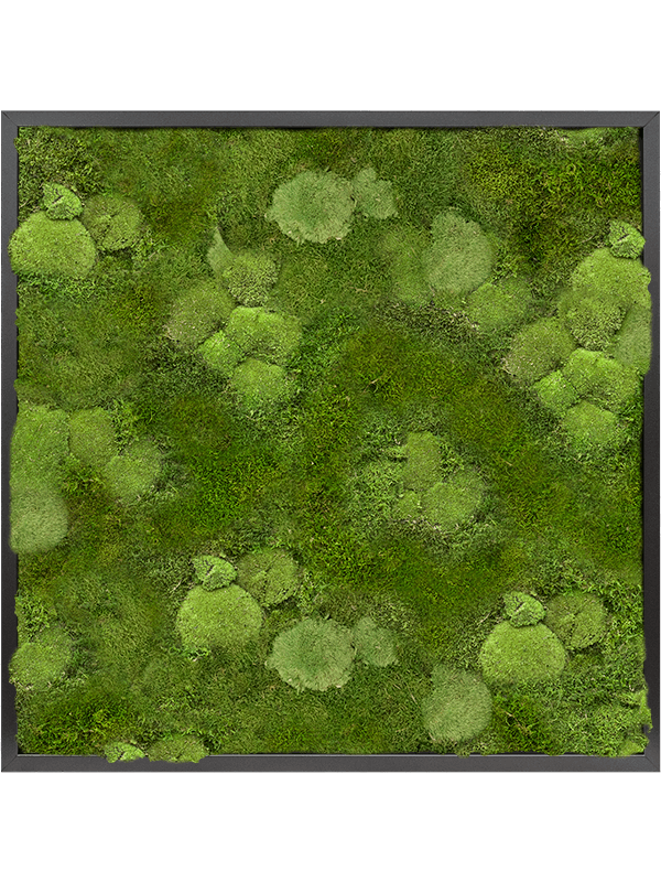 Moss Painting (6)
