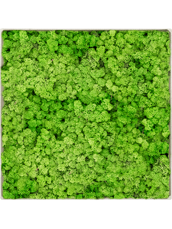 Moss Painting (5)