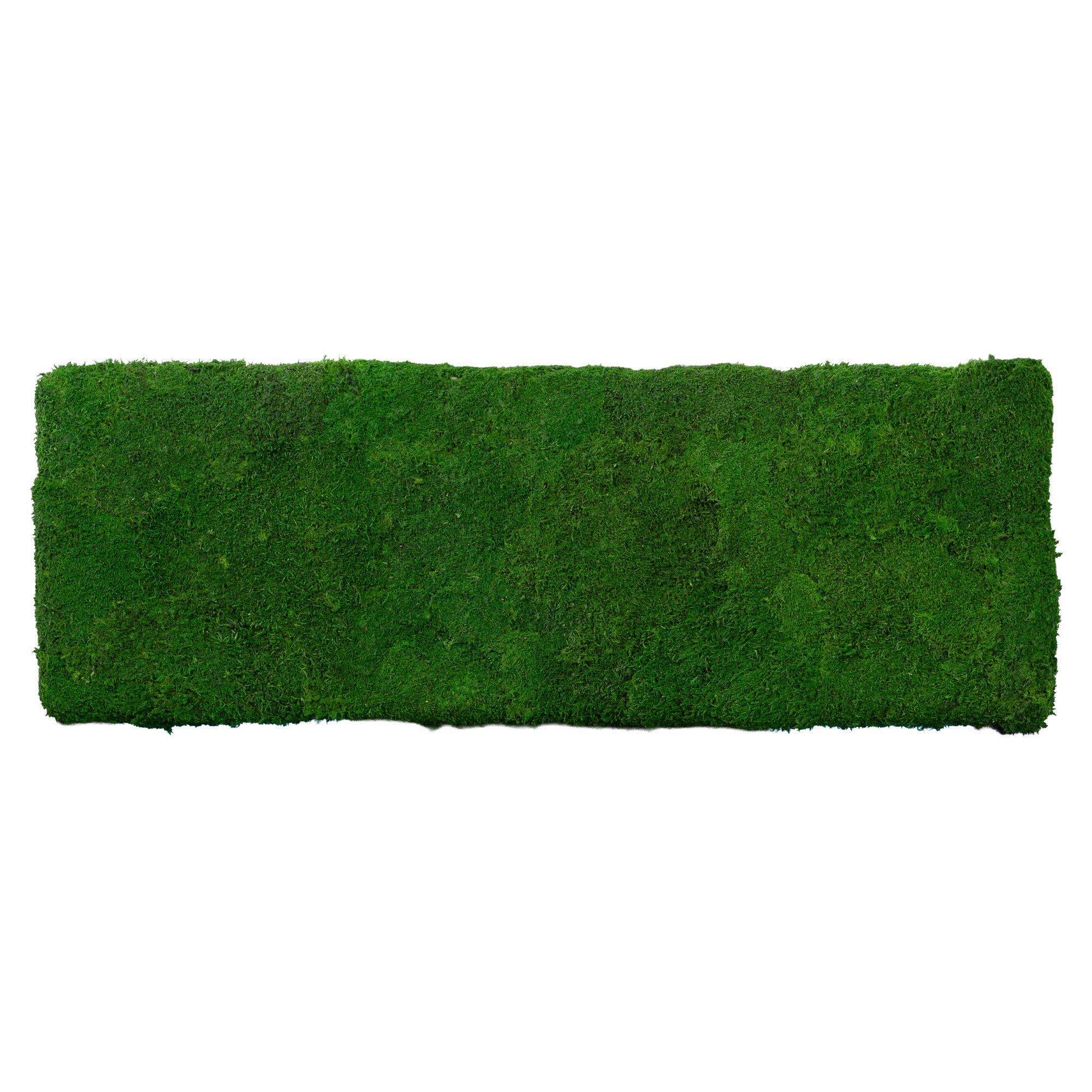 1-100x35-FLA-ORI_2