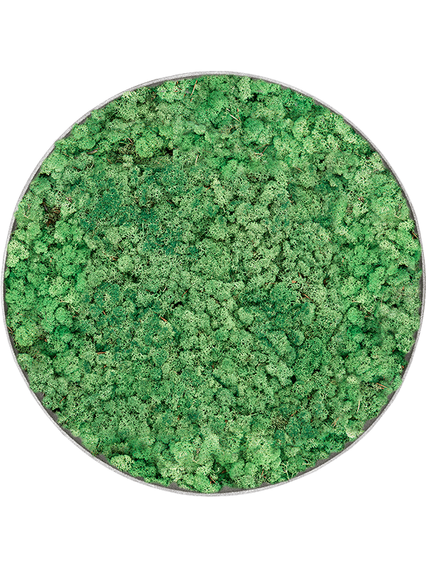 Moss Painting (5)