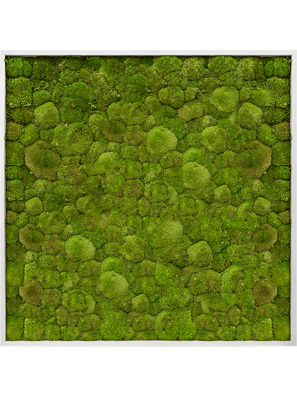 Moss Painting (6)