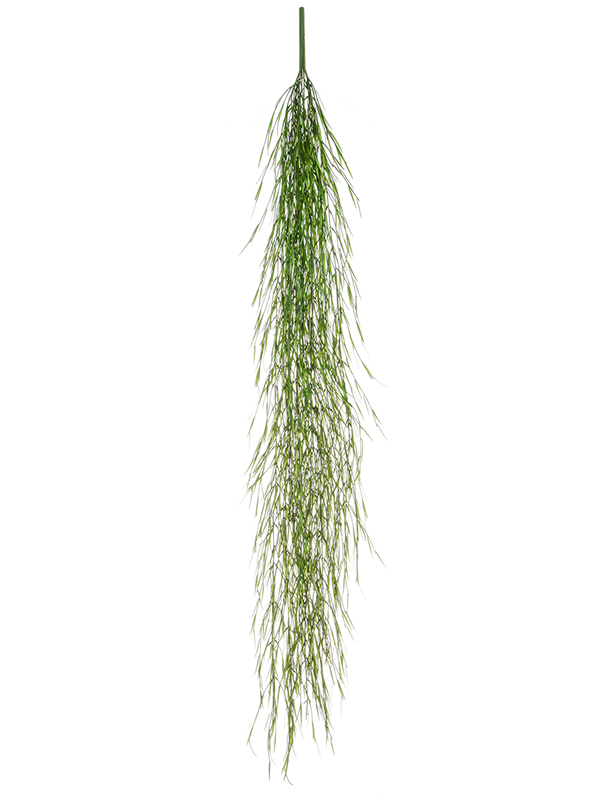 Bean Grass (166)