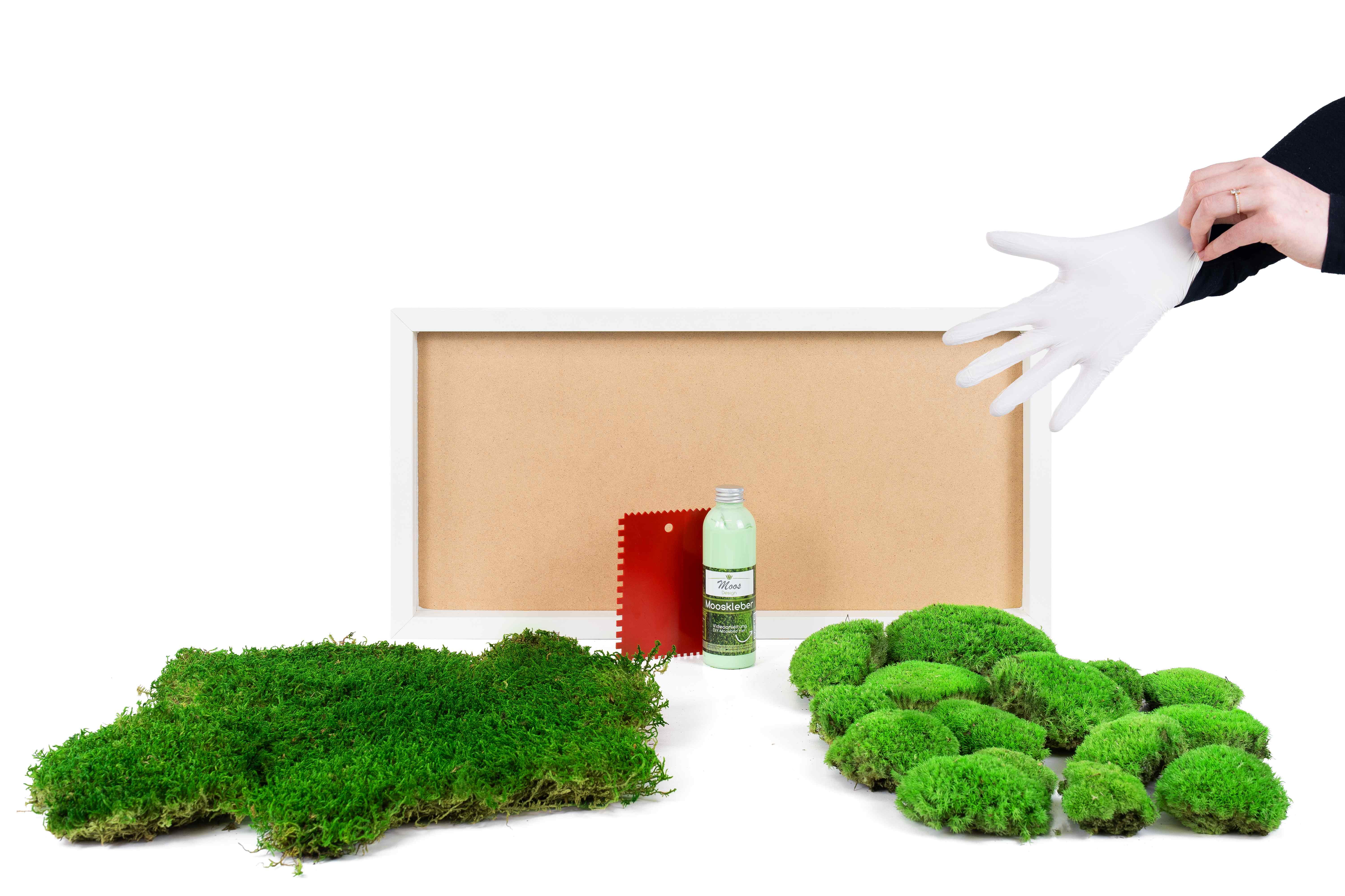 Moosbild DIY-Set Fifty Fifty Design (60x30, weiß)