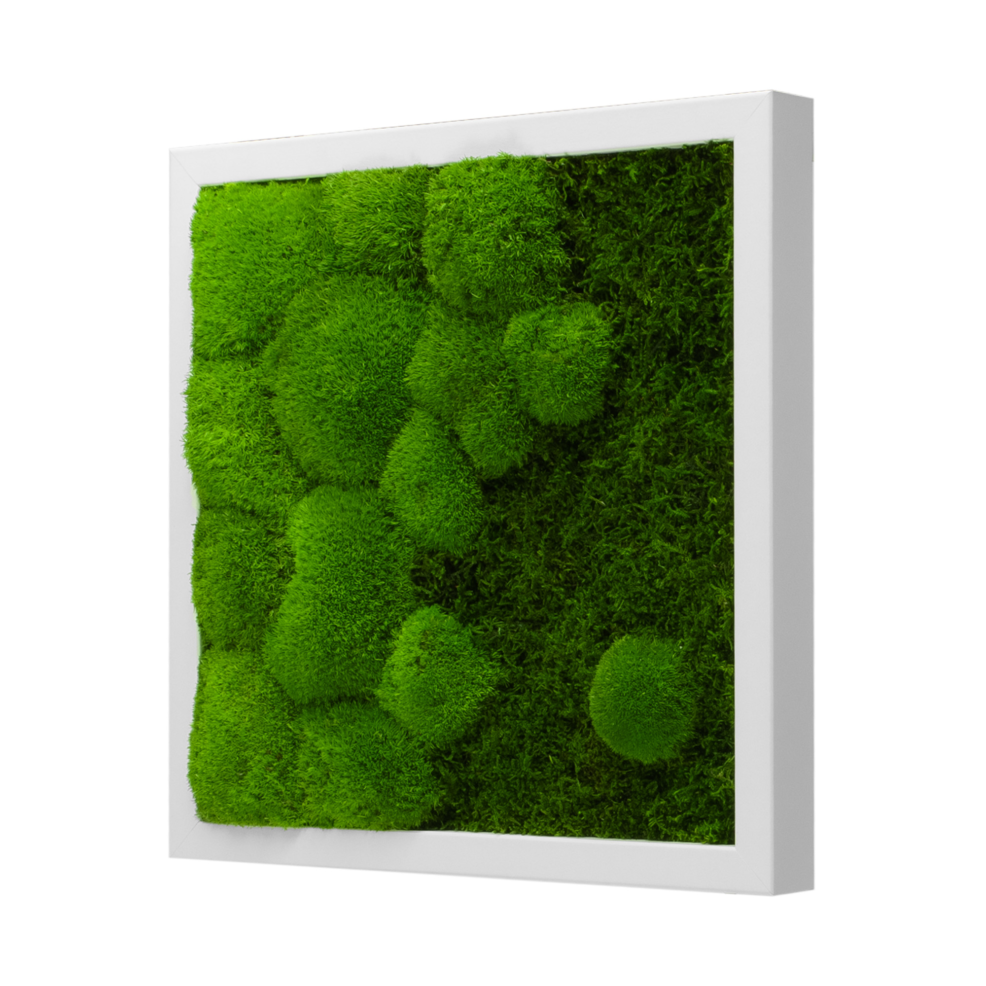 Moosbild River Design (25x25, weiß)