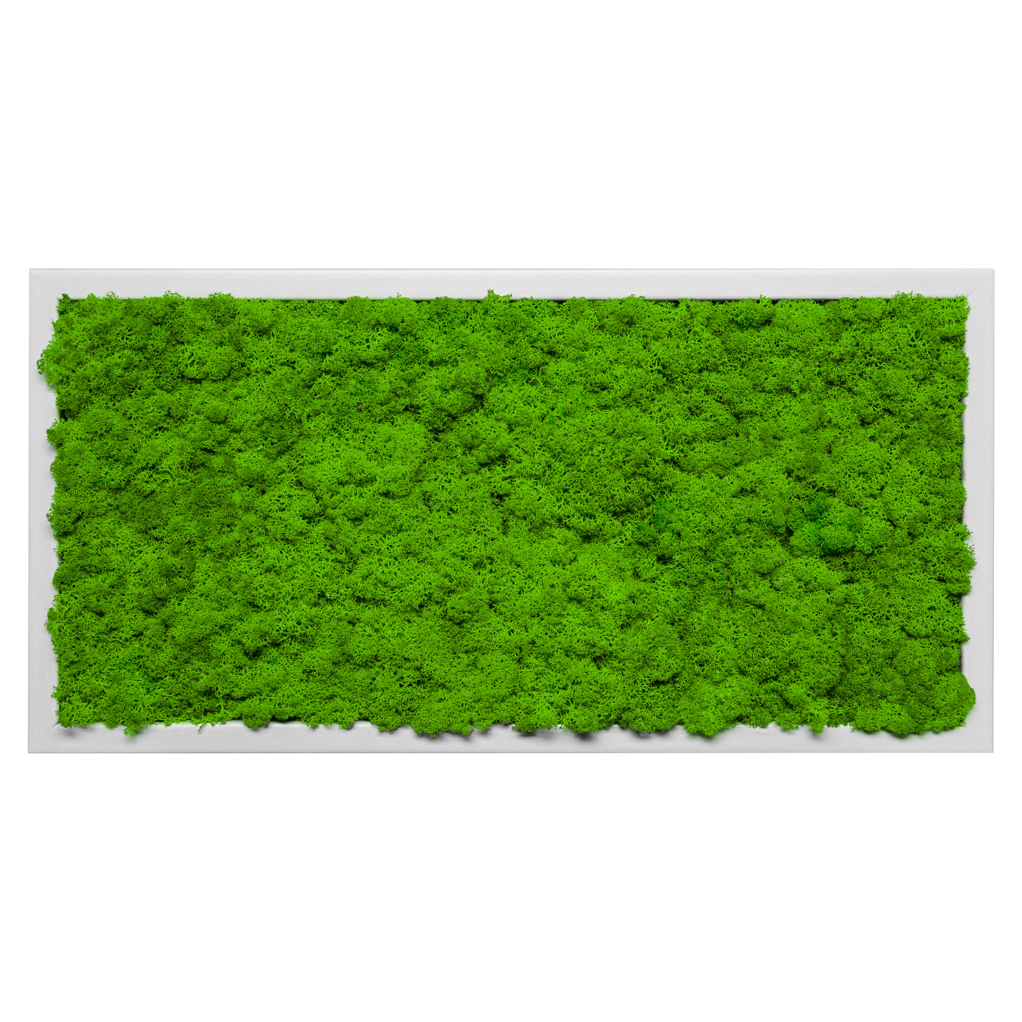 60x30_isl_wei_1