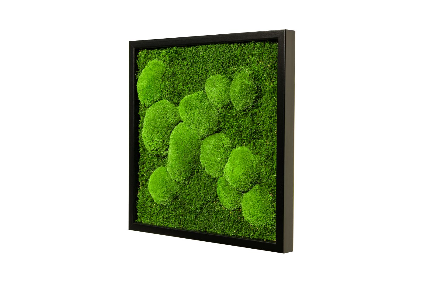 Moosbild Fifty Fifty Design (55x55, schwarz)