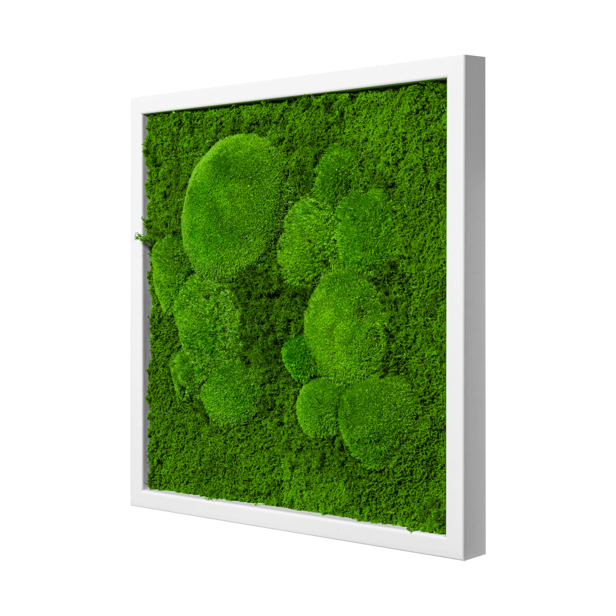 35x35_45x45_55x55_fif_wei