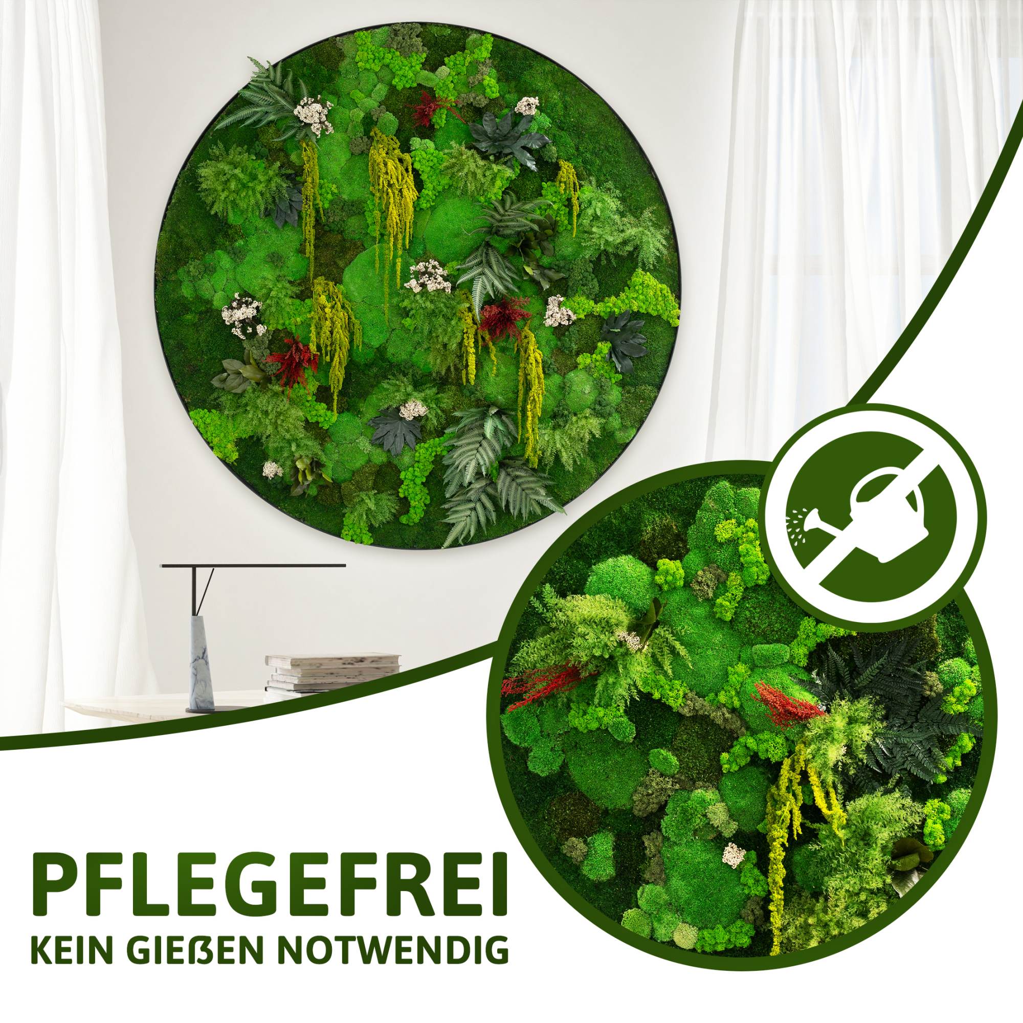 _DSC-Pflegefrei