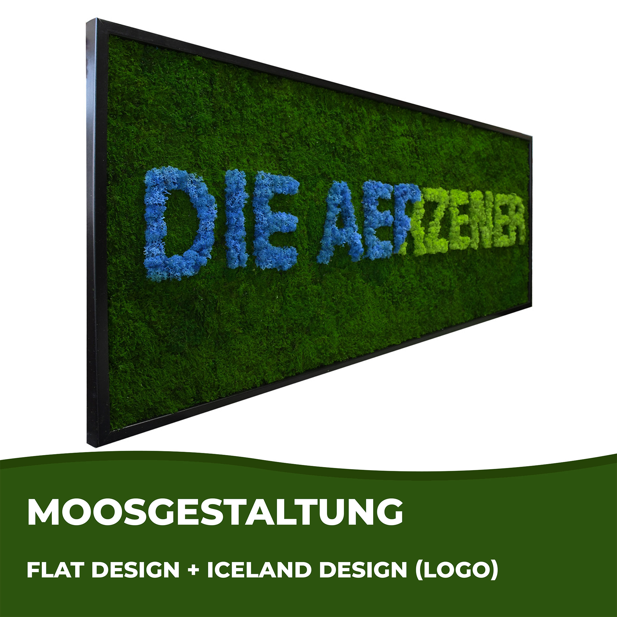 DIE AERZENER Logo