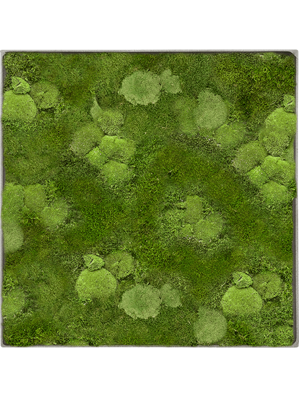Moss Painting (5)
