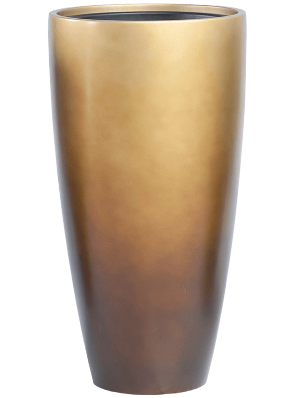 Baq Gradient (75)