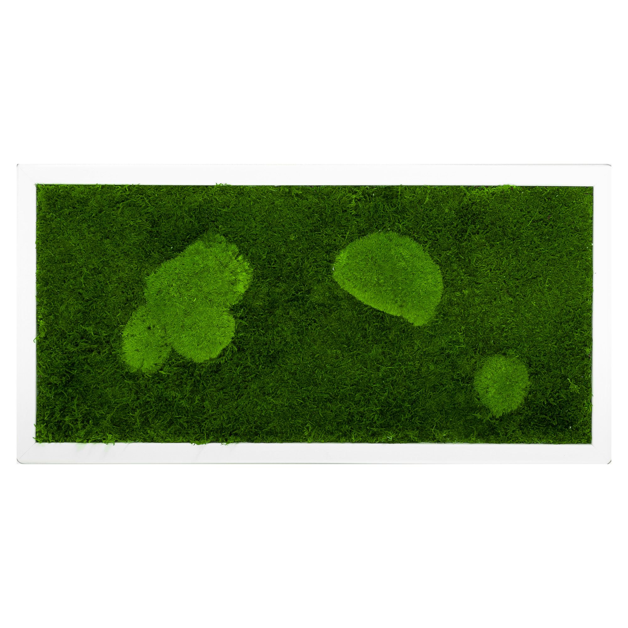 FOR_60x30W_1_