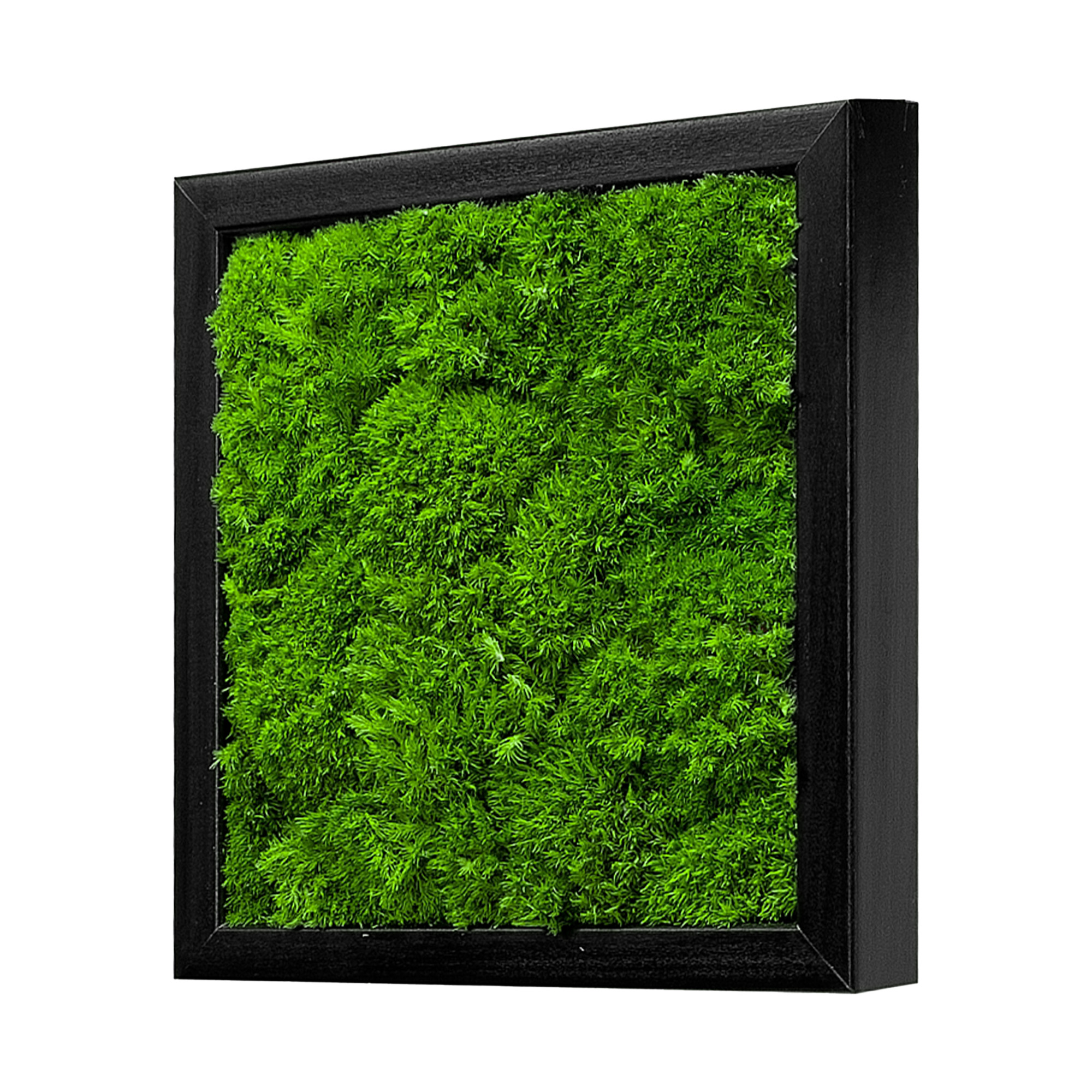 Moosbild Wave Design (25x25, schwarz)
