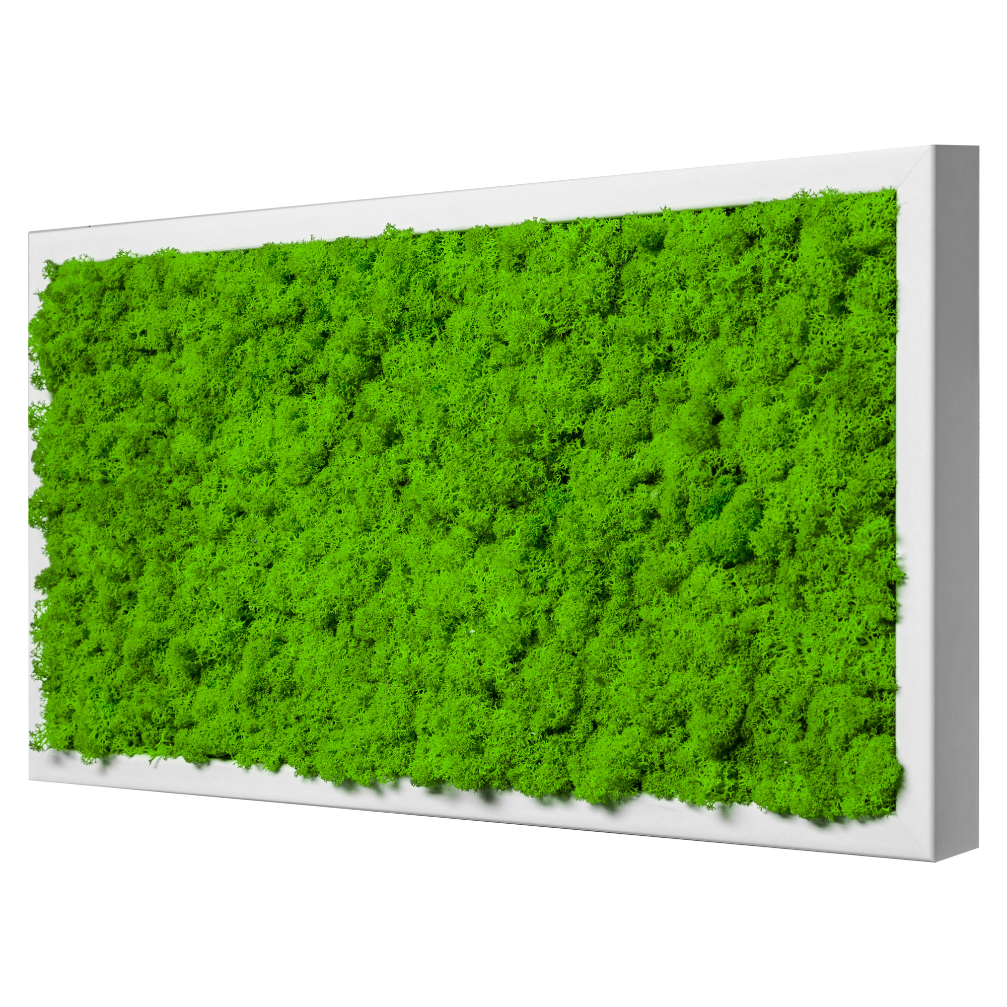 60x30_isl_wei