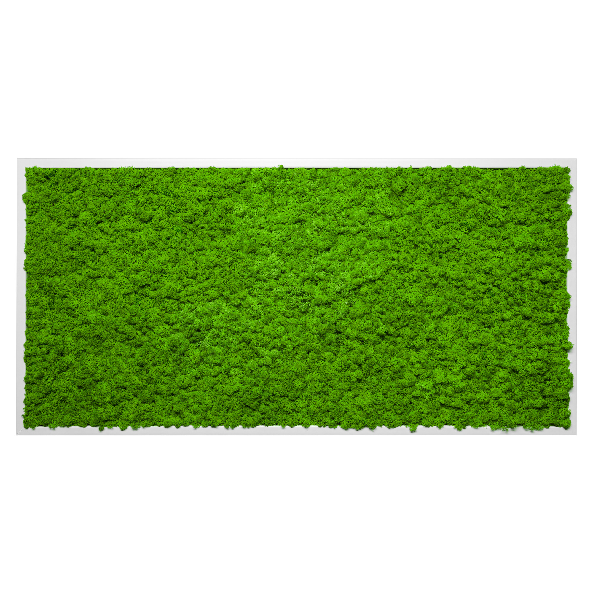Moosbild Iceland Design (110x55, weiß)