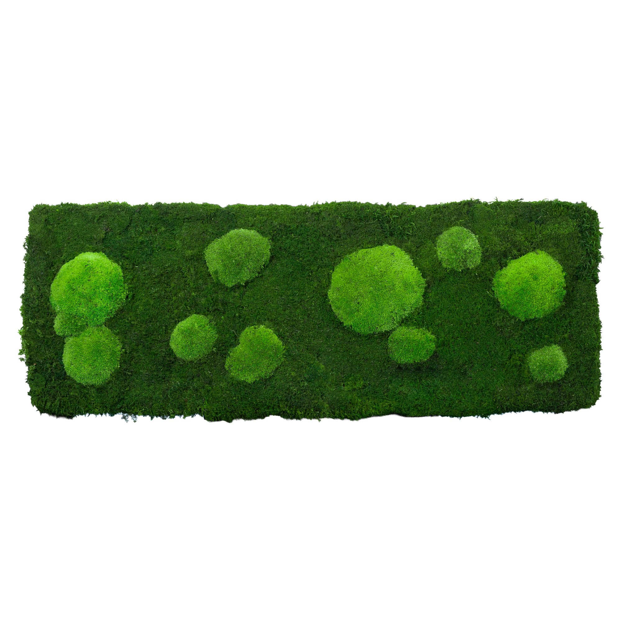 1-100x35-FOR-ORI_2