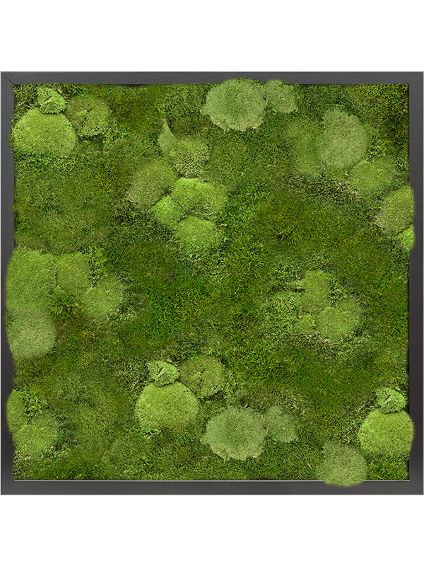 Moss Painting (6)