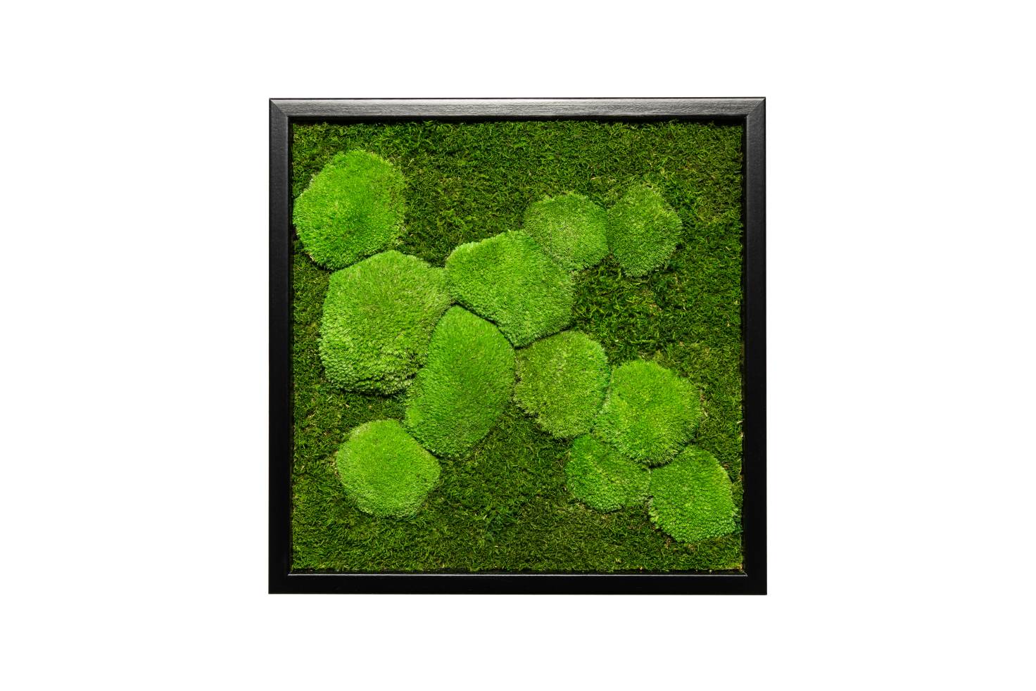 Moosbild Fifty Fifty Design (55x55, schwarz)