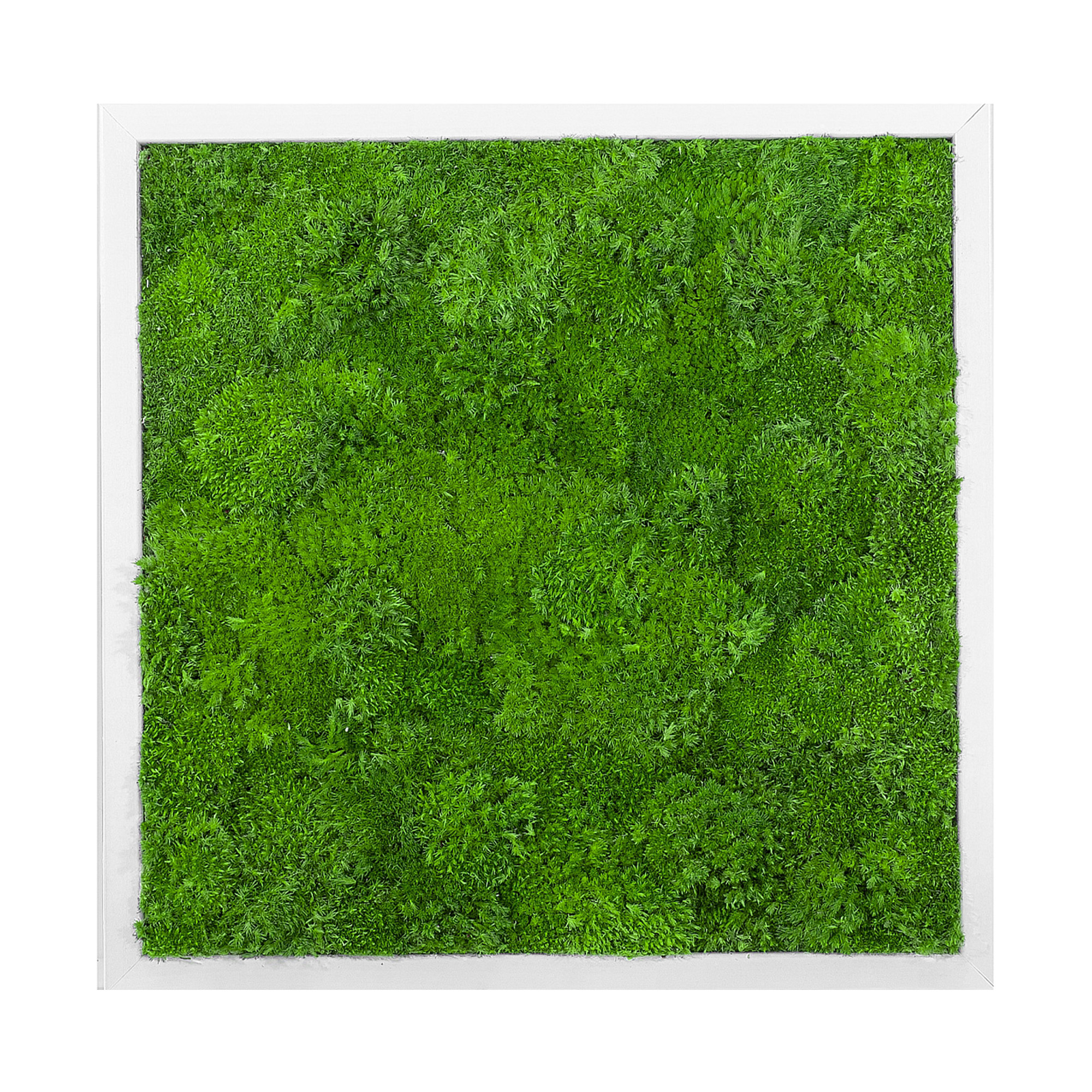 Wave_Design_45x45W_1_