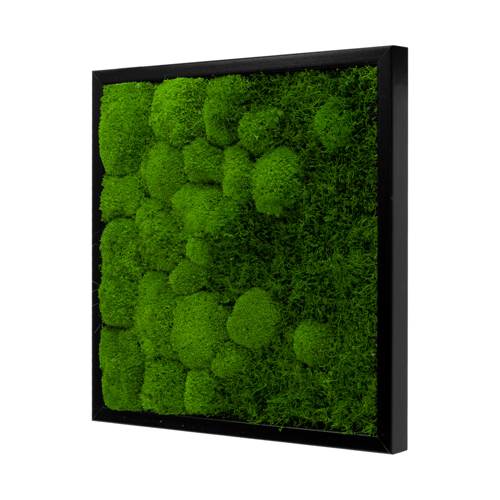 RIV_45x45S_