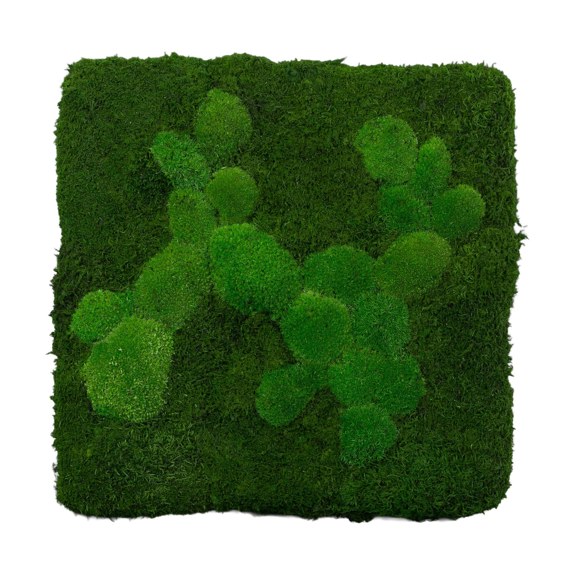 1-45x45-FIF-ORI_2