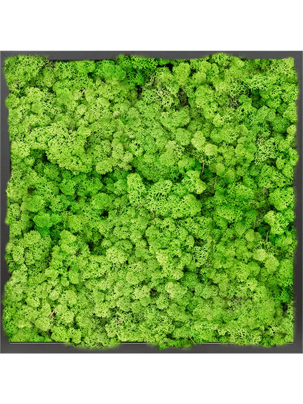 Moss Painting (6)