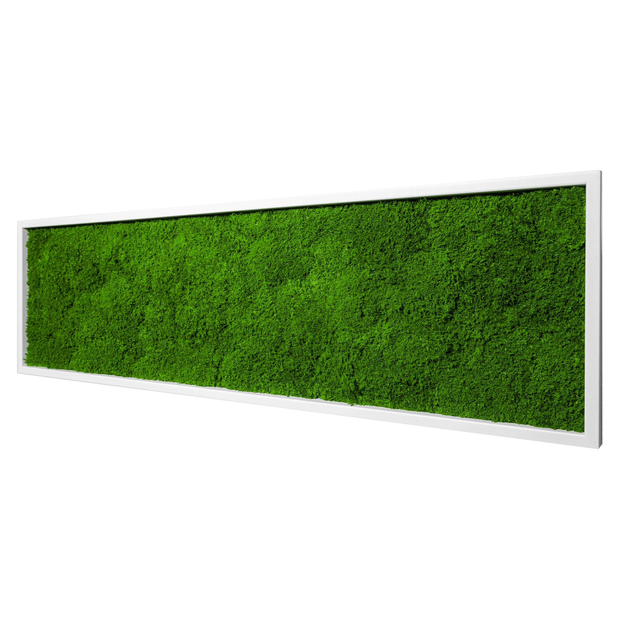 140x40_fla_wei