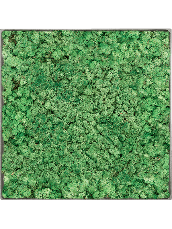 Moss Painting (5)