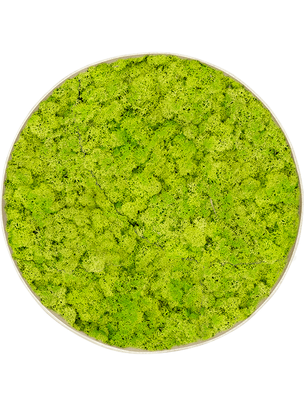 Moss Painting (5)