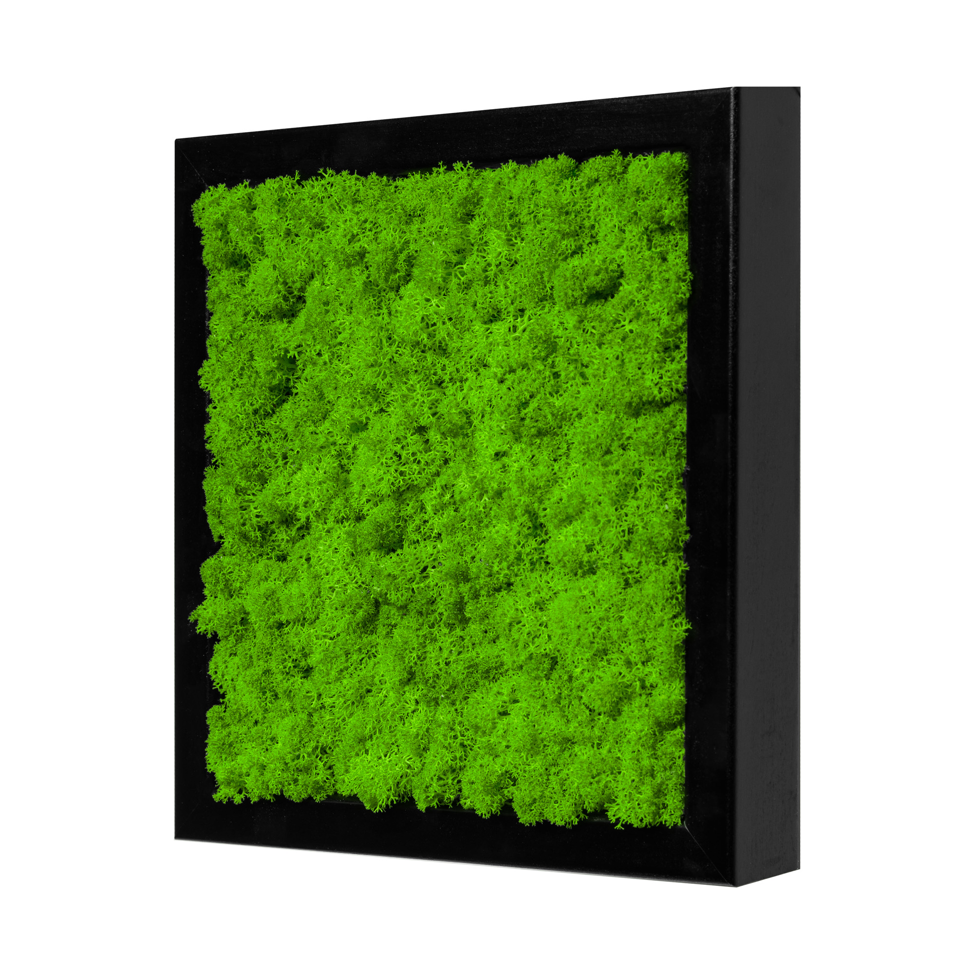 25x25_isl_sch