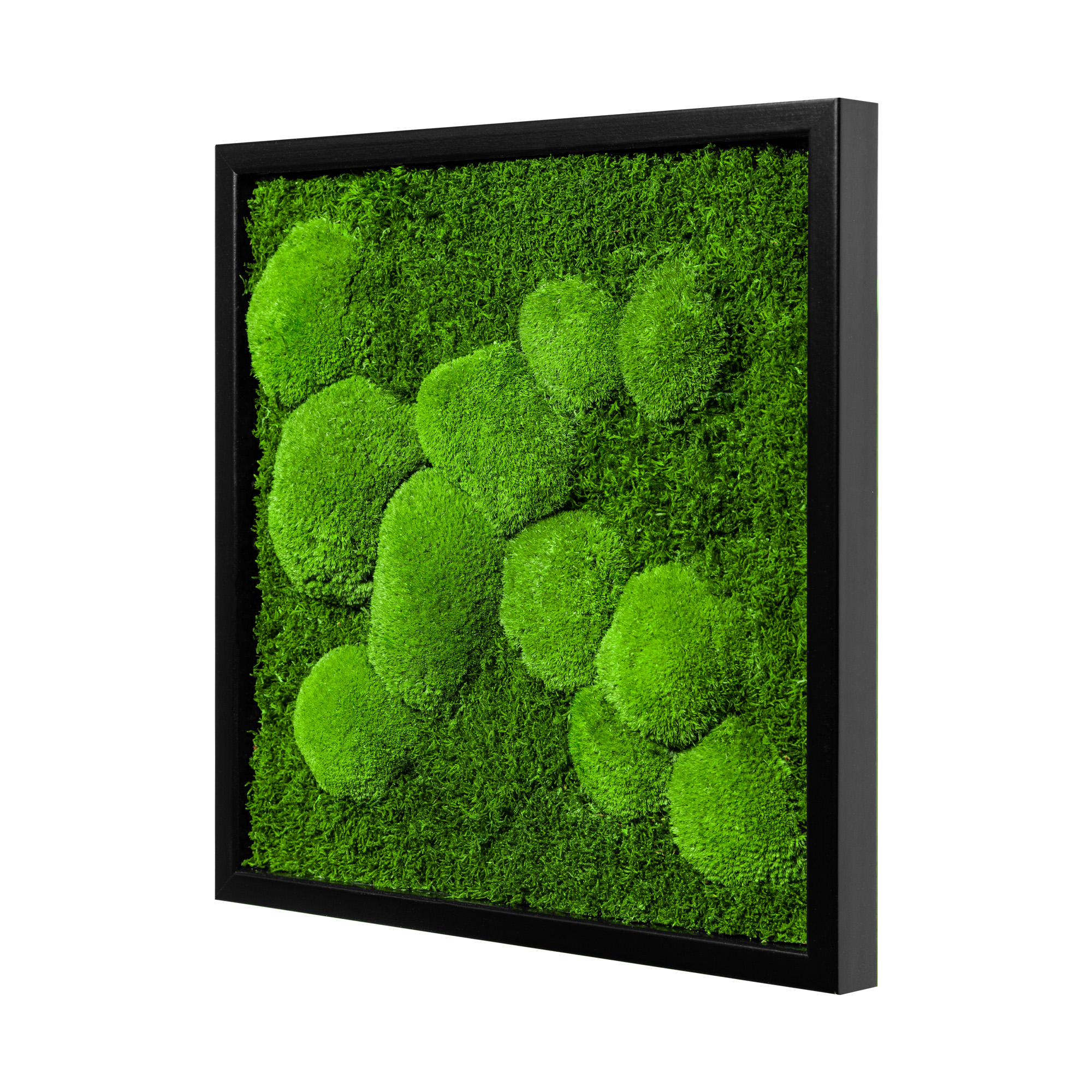 35x35_45x45_55x55_fif_sch