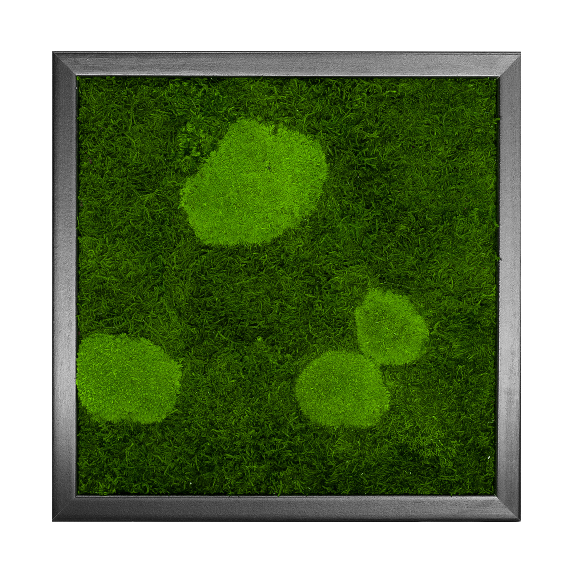 FOR_35x35S_1_